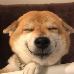 -丽都整形美容医院·全国连锁旗舰店