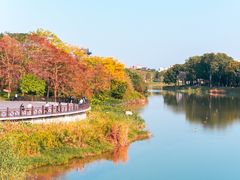 -海珠湖公园