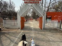 -爪吧宠物乐园 (温榆河示范区店)