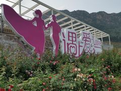 -密云玫瑰情园
