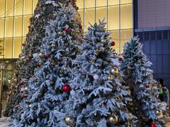 -东莞松山湖万象汇