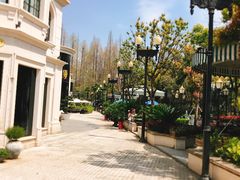 -子福慧(虹桥店)