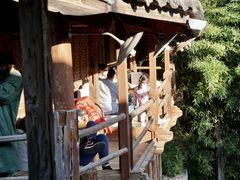 -田德能咖啡博物馆