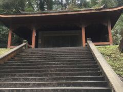 -阿里山神木遗迹