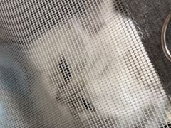 -佳雯宠物医院·皮肤科·内外科(春晓路分院)