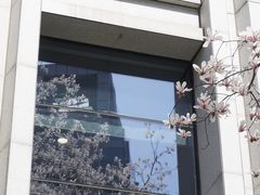 -中国（江苏）自由贸易试验区苏州片区一站式服务中心