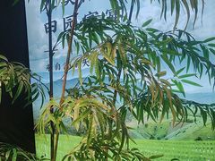 -湘邻呷铺·田园家宴(汉基广场店)