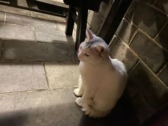 -张记牛肉面馆(天津路店)