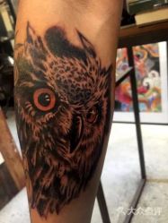 动物 猫头鹰-游刃刺青TATTOO纹身工作室