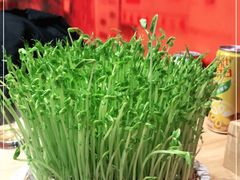 -好彩猪肚鸡(正弘城店)