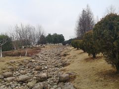 -白塘生态植物园