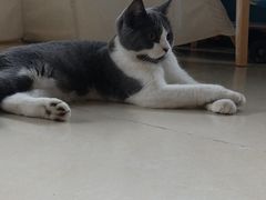 -美联众合24小时·皮肤科·外科·全科诊疗中心(华苑分院)