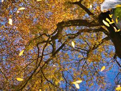 -东坡赤壁风景名胜区