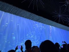 -华夏文旅西安度假区