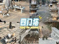 -四门塔风景区