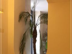 -HUATA 'Holiday Plan 花榻