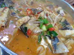 -全乐鱼馆·淳牌有机鱼直营店