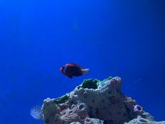 -海合安武汉极地海洋公园