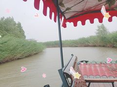 -哈素海