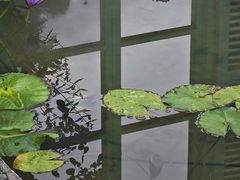 -钱王祠