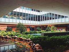 -香港大学