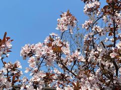 -杭州文化广播电视集团