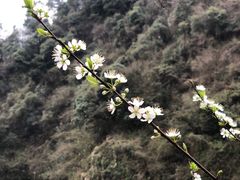 -磐安舞龙峡景区