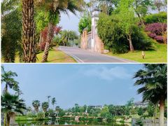 -枫香湖儿童公园