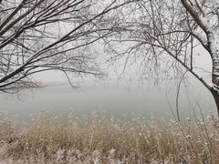 -野鸭湖国家湿地公园