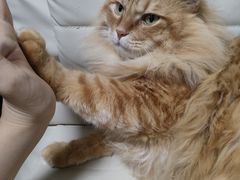 -必胜客(木渎天虹店)