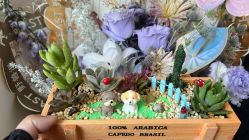 -馨月汇·独栋月子中心(南山店)