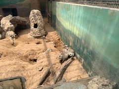 -昆明动物园