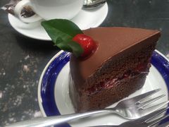 -Fern Forest Cafe