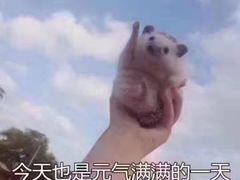 -吉野家(567漫天地店)