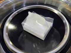 -皖北巫氏三胖地锅鸡(长淮总店)