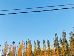 -瀛海足球主题公园