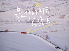 -丰宁坝上草原