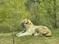 -北京野生动物园