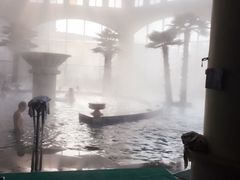 -仁爱团泊湖温泉中心