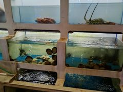 -质烤烤物·活烤海鲜(质烤总店)