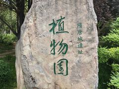 -洛阳市隋唐城遗址植物园