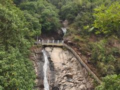 -广州白江湖森林公园