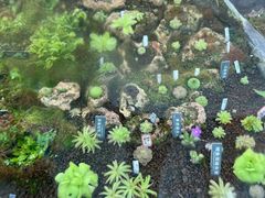 -国家植物园南园