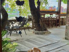 -长鹿旅游休博园