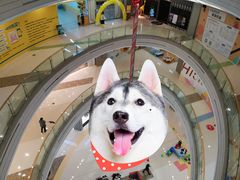-合肥蜀山万象汇