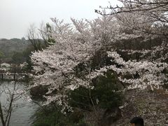 -白马涧龙池景区