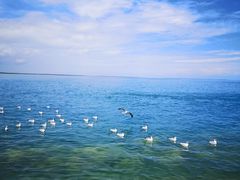 -青海湖国家重点风景名胜区