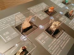 -广西壮族自治区博物馆