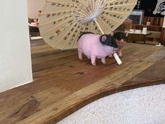 -春家·非遗手工小吃(徐汇万科广场店)