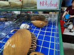 -三亚新鸿港水果一级批发市场